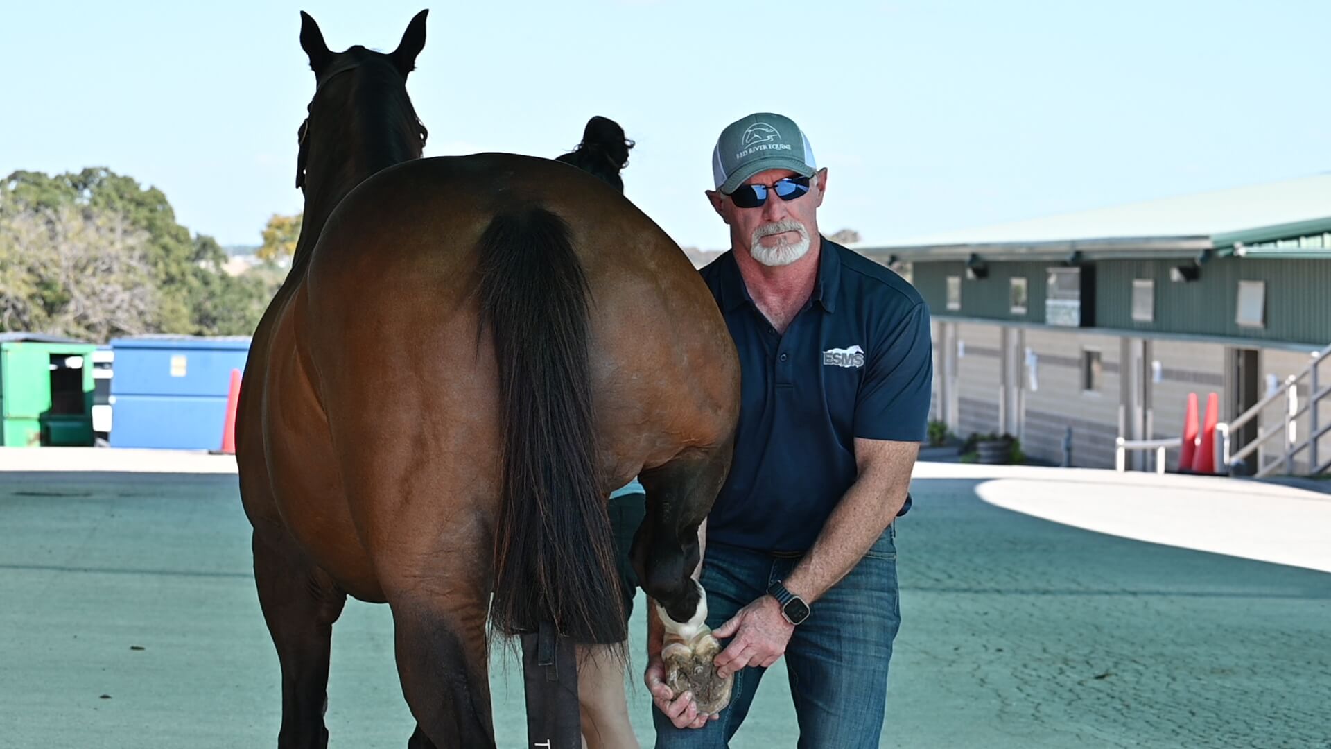 Dr Hand Veterinarian