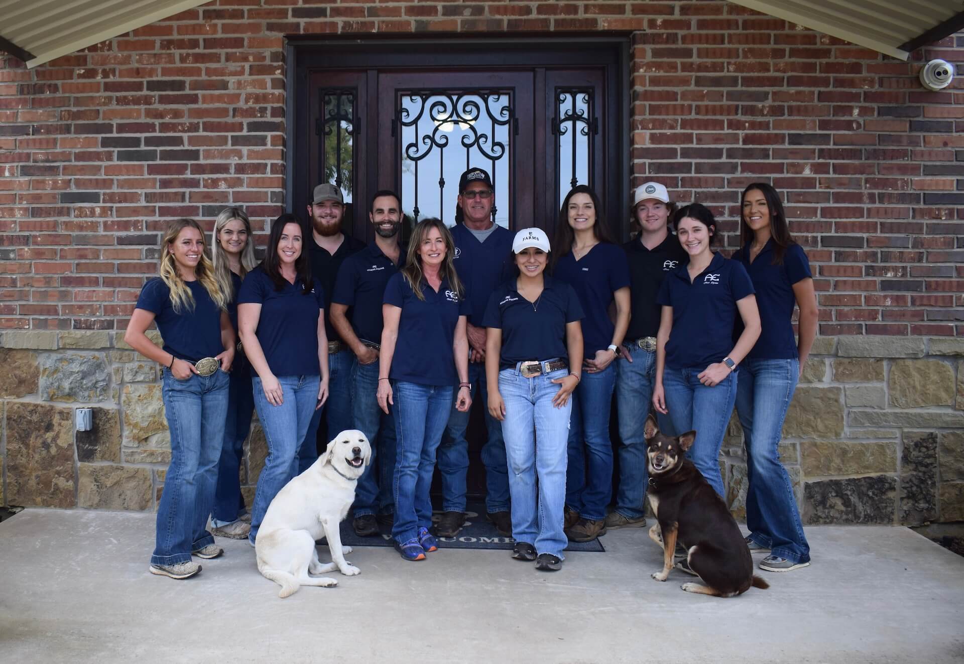 Athens Equine Veterinarians