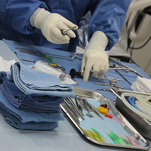 Equine Surgery