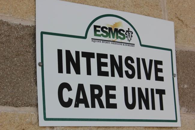 ESMS ICU
